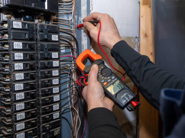 Best Electric Panel Repair  in Ruleville, MS